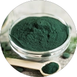 spirulina